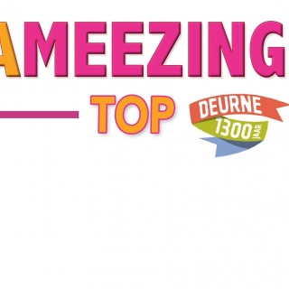 Logo ameezing top1300 4kant